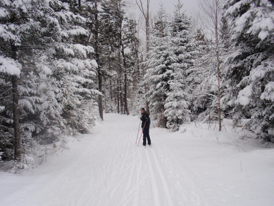 Cross country skiing at New Hampshire’s Bretton Woods Nordic Center - Top Ten Travel List