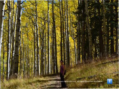 9 Places to See Fall Color in Arizona - Top Ten Travel List