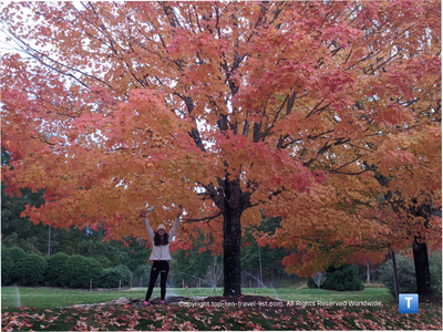 12 great leaf peeping destinations in the Carolinas - Top Ten Travel List