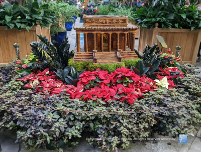 Attraction of the Week: Season’s Greetings at the U.S. Botanical Gardens in D.C. - Top Ten Travel List