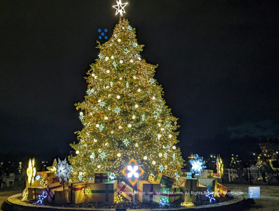 The 100th Anniversary of The National Tree Lighting in D.C. - Top Ten Travel List