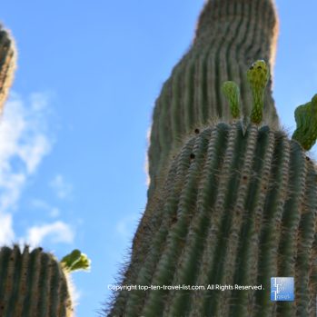 19 Things to do in Phoenix When It’s Too Hot! - Top Ten Travel List
