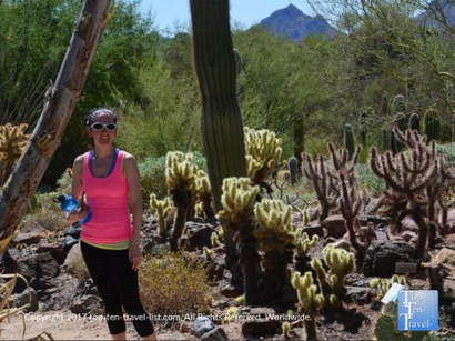 48 Things To Do In Tucson When It’s Too Hot! - Top Ten Travel List
