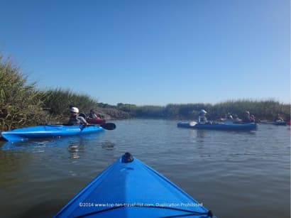 A Scenic Kayaking Adventure in Hilton Head Island - Top Ten Travel List