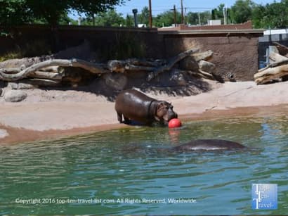 Attraction of the Week: The Albuquerque Zoo - Top Ten Travel List