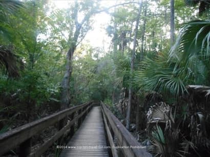A Peaceful Stroll through Palm Harbor’s John Chestnut Park - Top Ten Travel List
