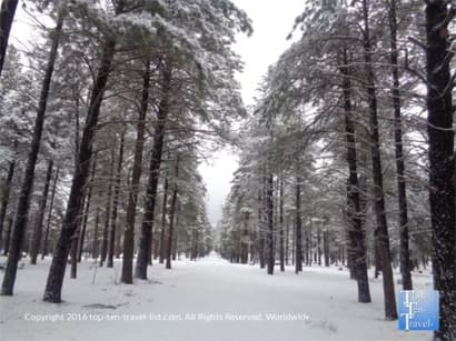 My Top Winter Travel Destinations - Top Ten Travel List