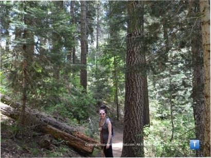Hiking Hotspot: The High Altitude Trails of Mt. Lemmon - Top Ten Travel List