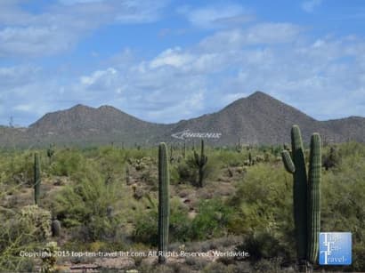 Usery Mountain Regional Park: Cacti & Mountain Views in Mesa - Top Ten Travel List