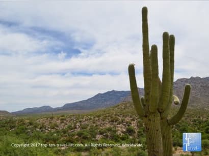 5 Scenic Attractions in Oro Valley, Arizona - Top Ten Travel List
