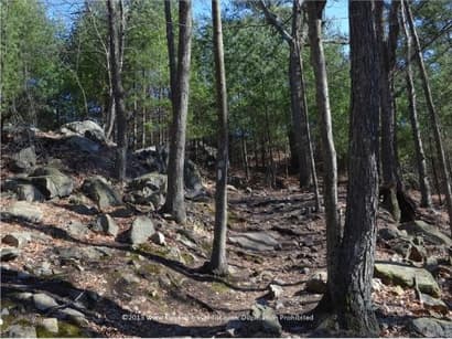 8 Beautiful Hiking Areas Near Boston - Top Ten Travel List