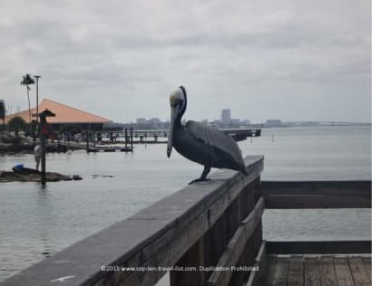 A Relaxing Afternoon in Historic Downtown Dunedin, Florida - Top Ten Travel List