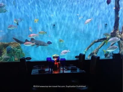 Guy Harvey’s Rumfish Grill in St. Pete Beach - Top Ten Travel List