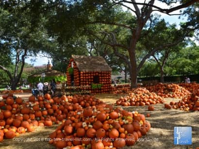 Autumn at the Dallas Arboretum and Botanical Garden - Top Ten Travel List