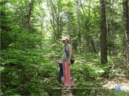 Top 10 Free Things to do on any Vacation - Top Ten Travel List