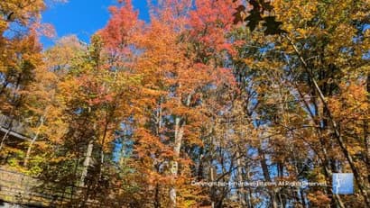Cleveland Autumn Bucket List: Hiking, Leaf Peeping, & More - Top Ten Travel List