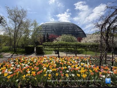 Springtime at the Garfield Park Observatory in Chicago - Top Ten Travel List