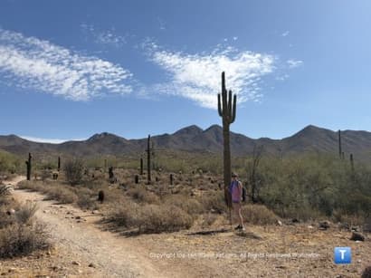 Lost Dog/Ringtail Loop: An Easy & Scenic Trek in Scottsdale - Top Ten Travel List