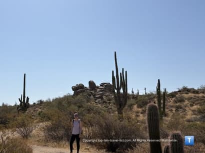Jane Rau Interpretive Trail: Scottsdale’s Shortest & Most Accessible Hike - Top Ten Travel List