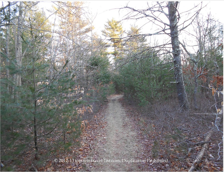 Copicut Woods – A Rustic Escape in Fall River, Massachusetts - Top Ten Travel List