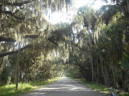 Myakka State Park: One of Florida’s Largest, Oldest & Most Scenic Parks - Top Ten Travel List