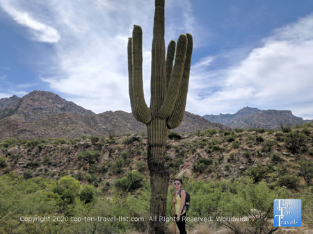 Hiking Hotspot: Beautiful Catalina State Park in Tucson, Arizona - Top Ten Travel List