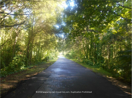 Upper Tampa Bay Trail: An Urban Oasis in Suburban Tampa - Top Ten Travel List